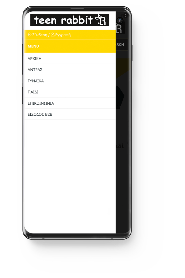 Κατασκευή Ηλεκτρονικού Καταστήματος - eShop teenrabbit.gr